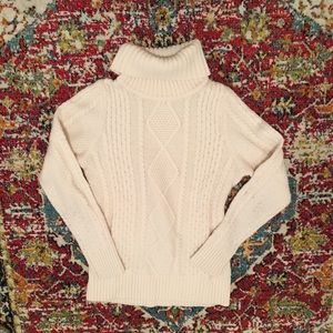 L.L. Bean Wool Turtle Neck Sweater
